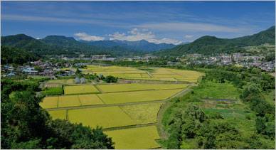鄉(xiāng)村振興規(guī)劃關于農(nóng)民