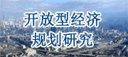 開放型經(jīng)濟(jì)規(guī)劃研究