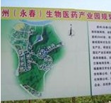 泉州永春生物醫(yī)藥產業(yè)發(fā)展規(guī)劃