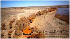 阿拉善盟黃河西岸烏蘭布和沙漠生態(tài)綜合治理區(qū)概念規(guī)劃及生態(tài)新區(qū)規(guī)劃