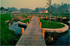 2019年國家濕地公園申報(bào)流程