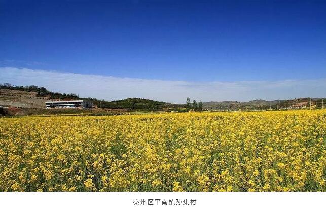 裝配式建筑引領(lǐng)天水鄉(xiāng)村旅游產(chǎn)業(yè)發(fā)展新模式 