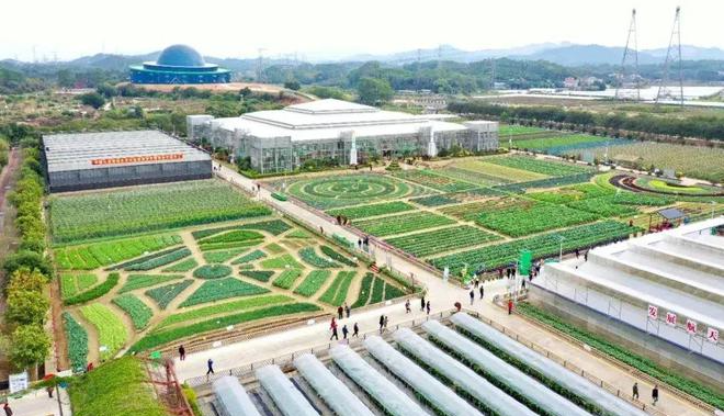 2023年30項鄉(xiāng)村振興項目申報指南及政策匯總
