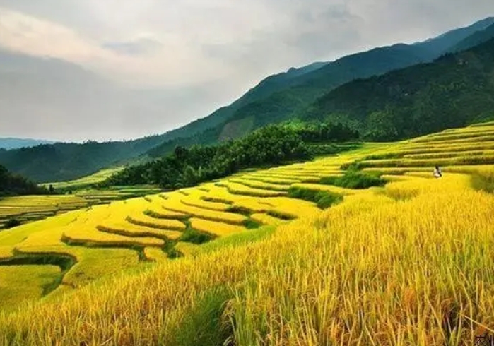 中央預(yù)算內(nèi)投資農(nóng)村可持續(xù)發(fā)展投資專項(xiàng)資金申報(bào)指南