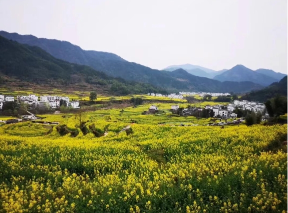 鄉(xiāng)村旅游、文化綜合體，開發(fā)模式與運(yùn)營方向