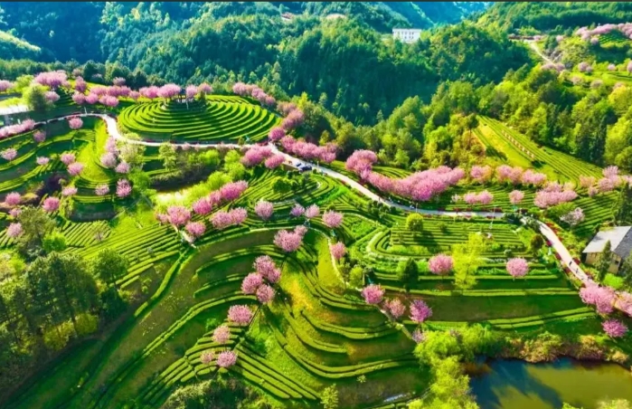 四川革命老區(qū)低空經(jīng)濟(jì)發(fā)展的對(duì)策建議